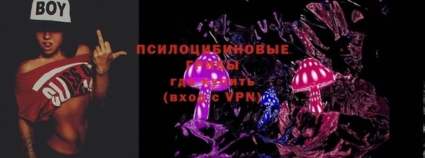 стаф Горняк