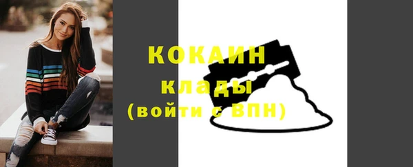 стаф Горняк