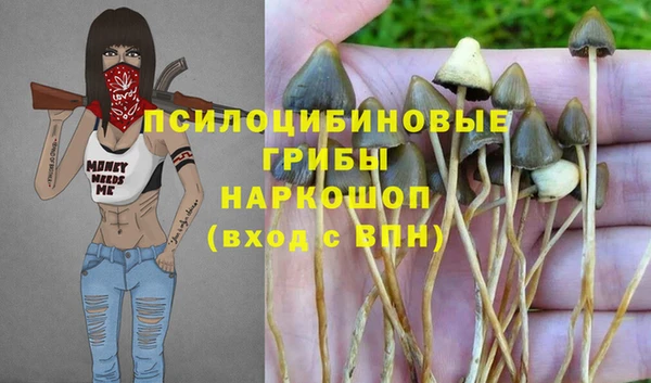стаф Горняк