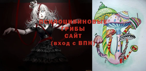 стаф Горняк
