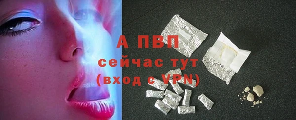 стаф Горняк