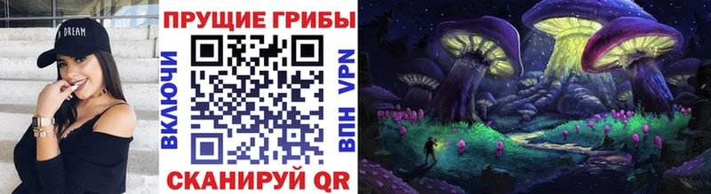 ОМГ ОМГ ссылки  Духовщина  Галлюциногенные грибы MAGIC MUSHROOMS 